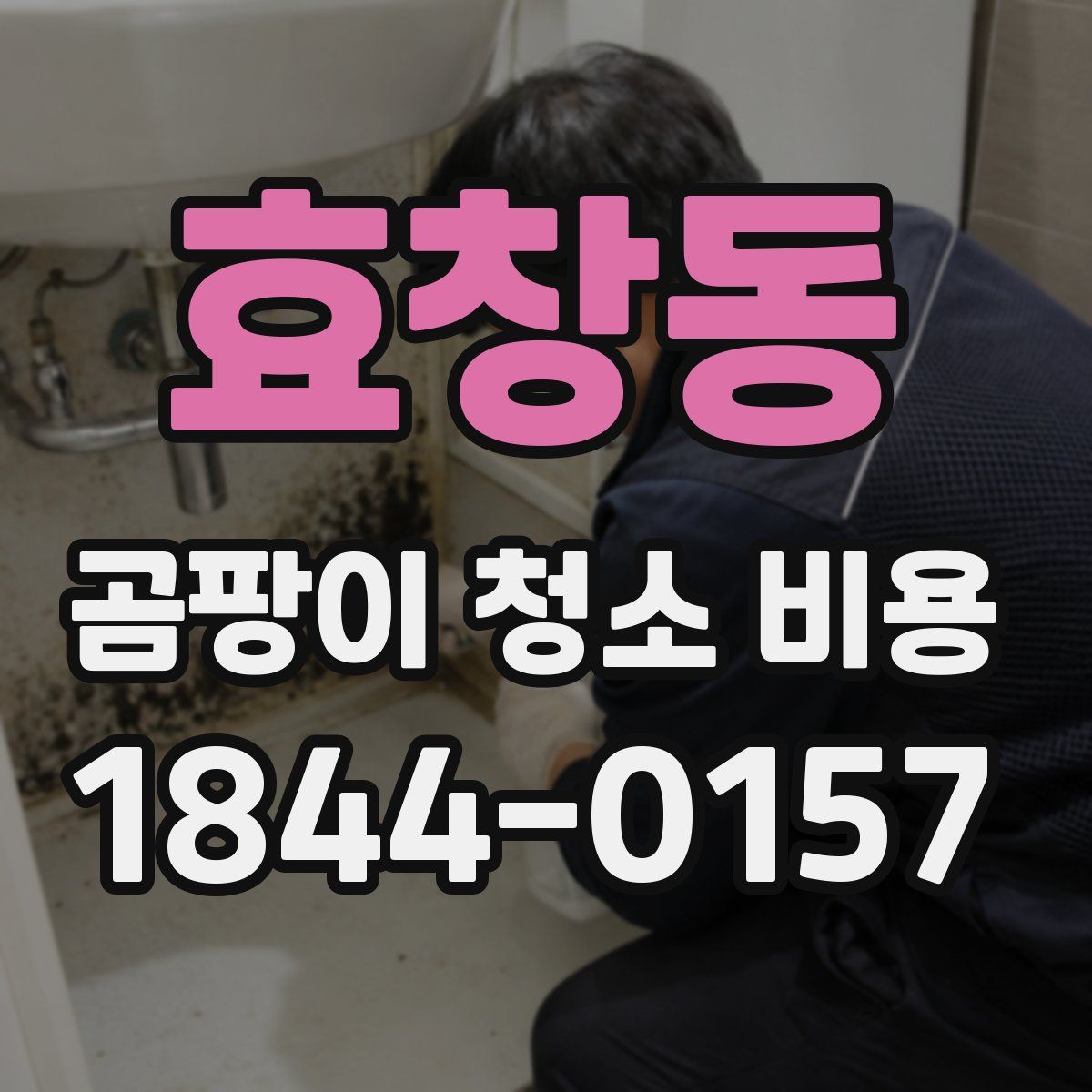 효창동 곰팡이 청소 비용