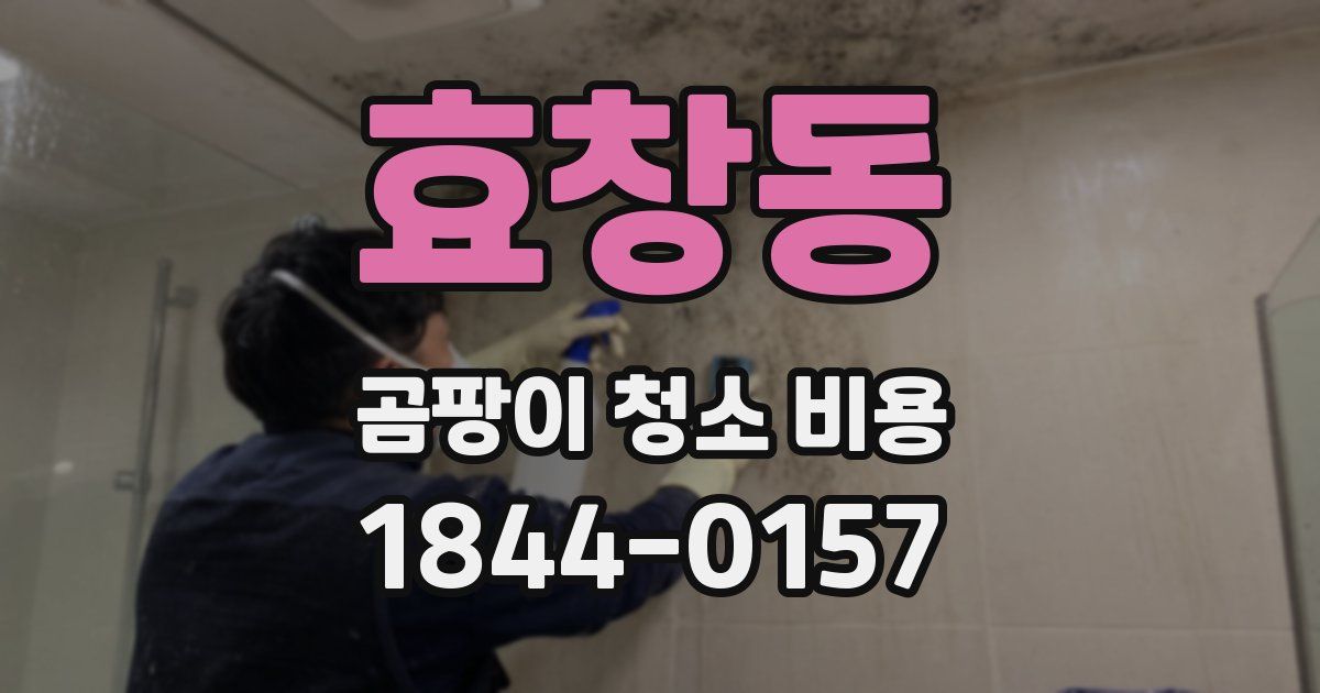 효창동 곰팡이 청소 비용