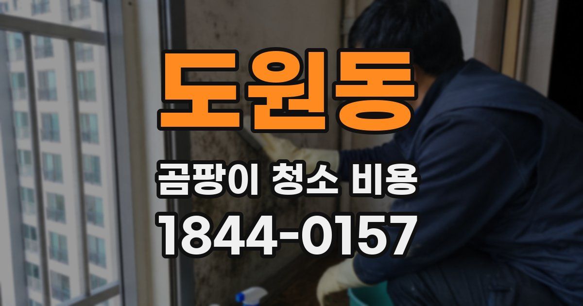 도원동 곰팡이 청소 비용