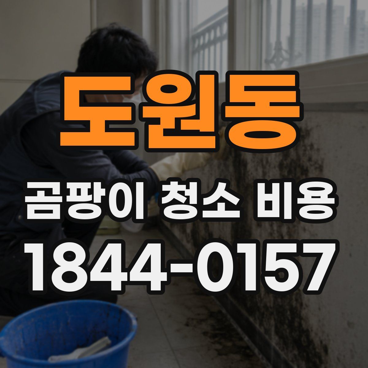 도원동 곰팡이 청소 비용