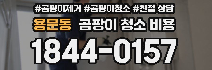 용문동 곰팡이 청소 비용