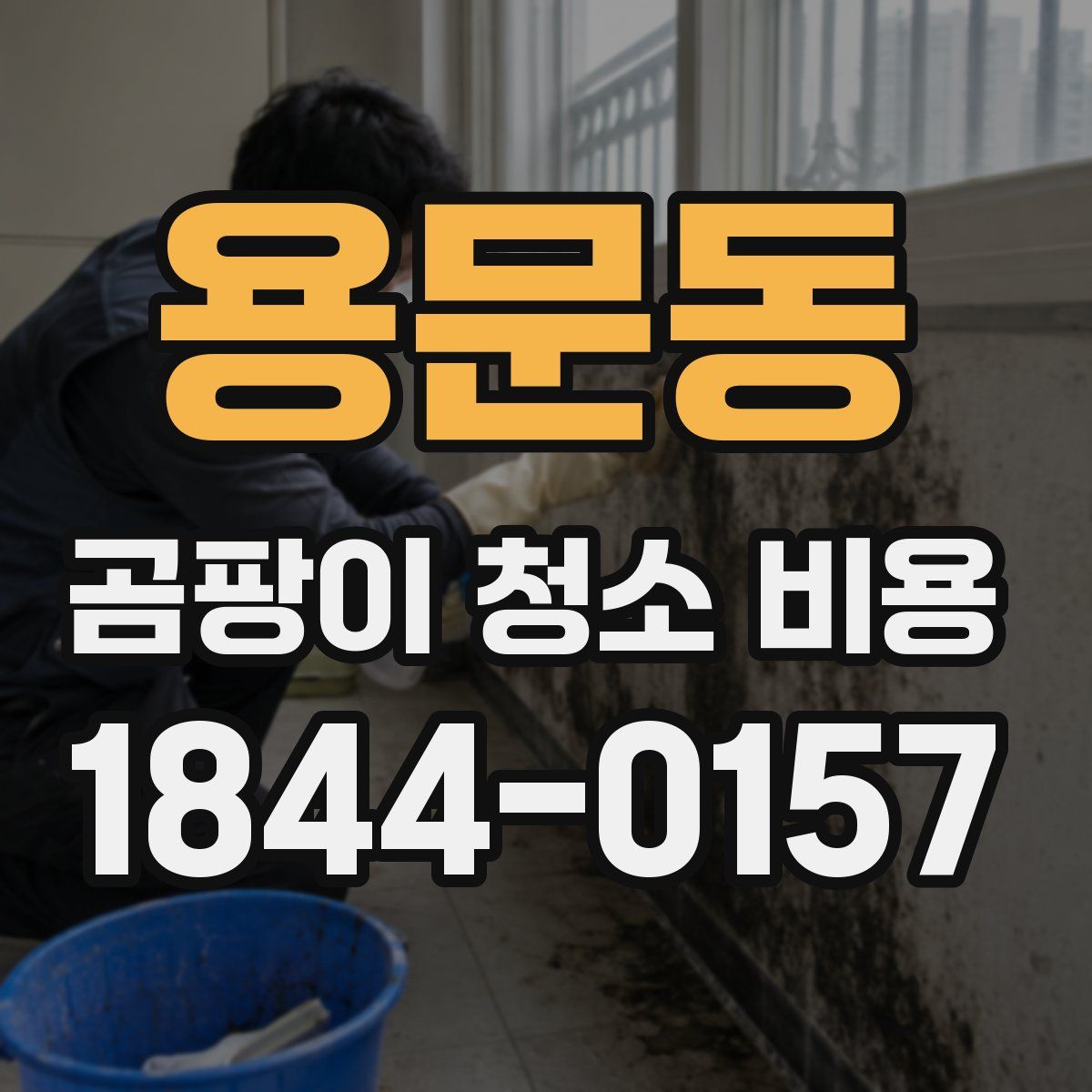 용문동 곰팡이 청소 비용
