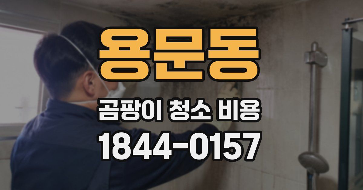 용문동 곰팡이 청소 비용