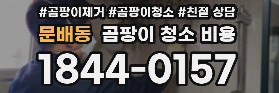 문배동 곰팡이 청소 비용