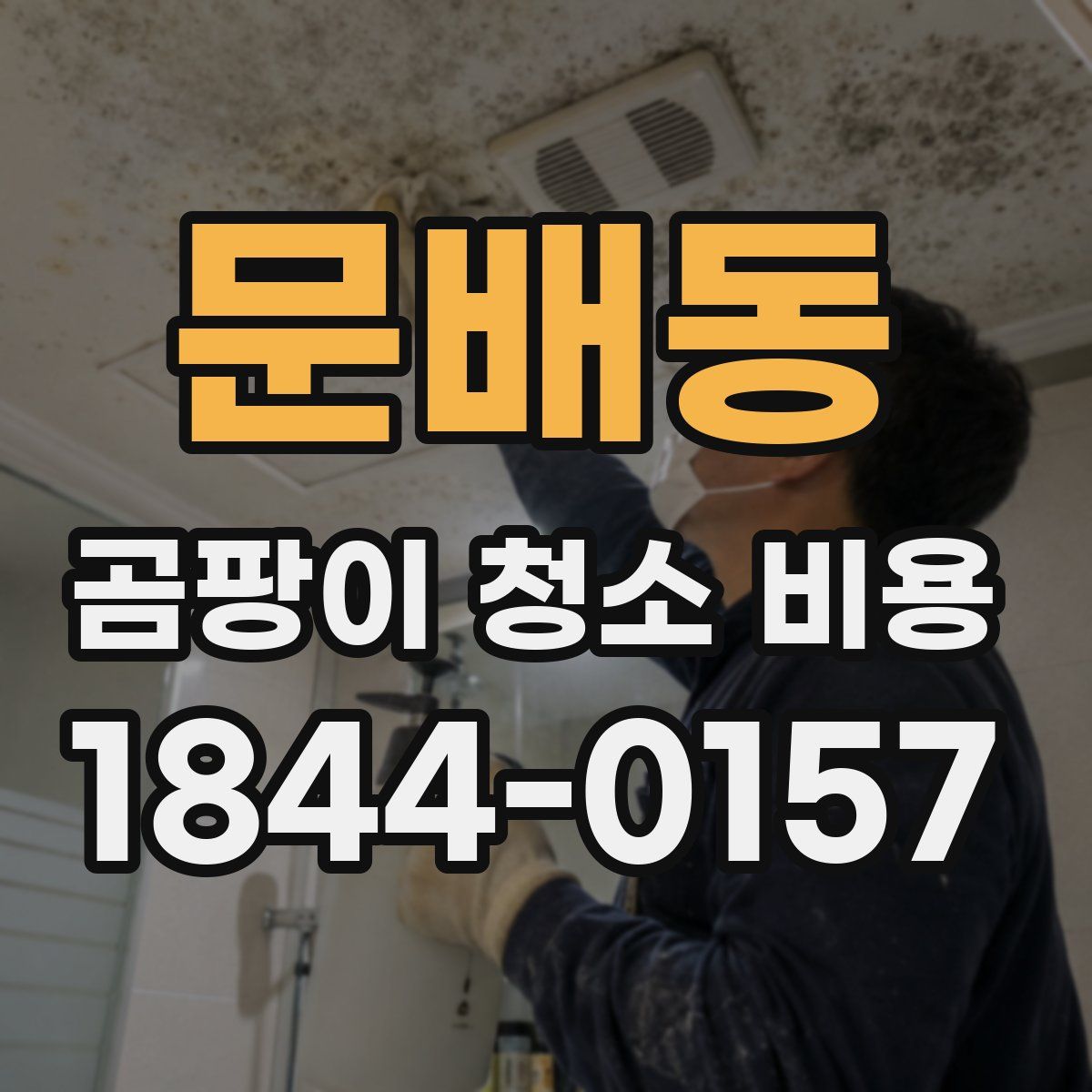문배동 곰팡이 청소 비용