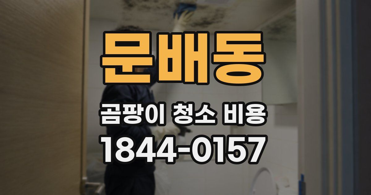 문배동 곰팡이 청소 비용