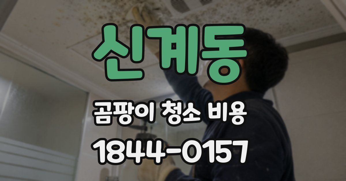 신계동 곰팡이 청소 비용