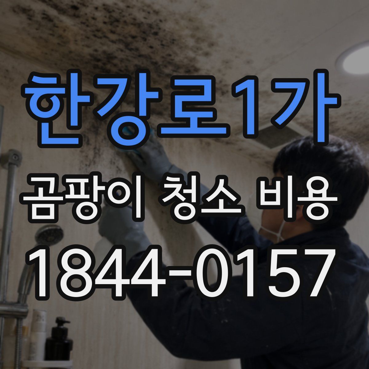 한강로1가 곰팡이 청소 비용