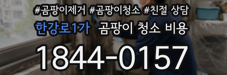 한강로1가 곰팡이 청소 비용