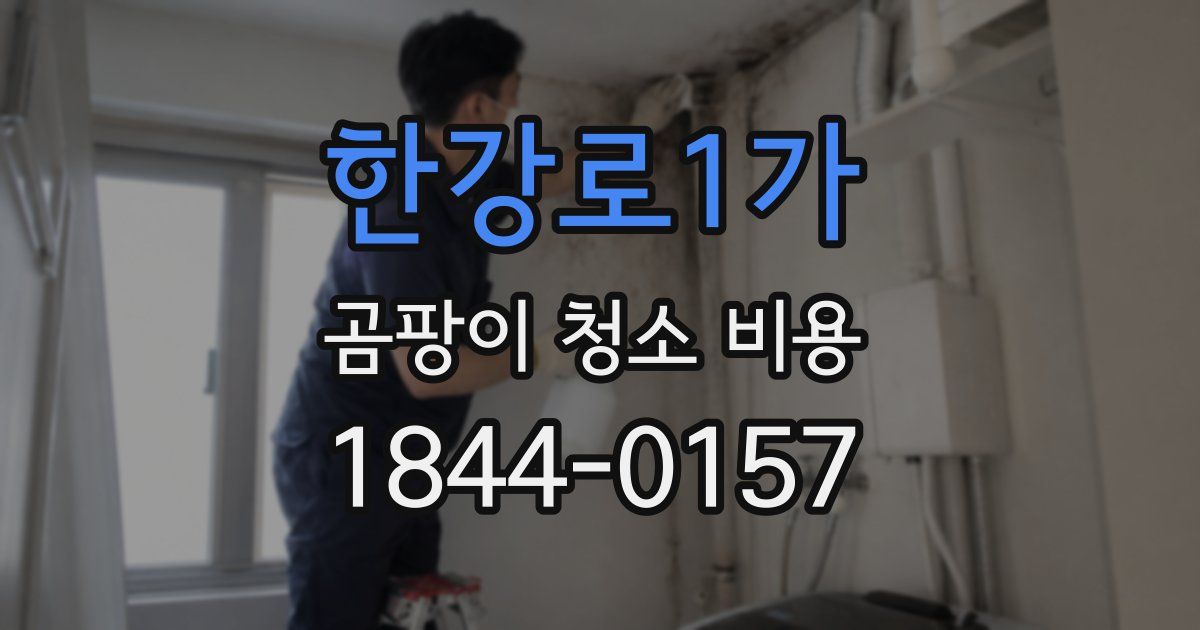 한강로1가 곰팡이 청소 비용