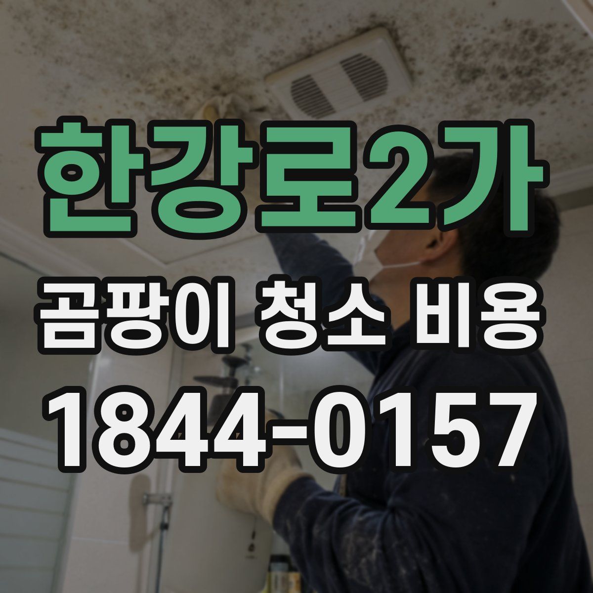 한강로2가 곰팡이 청소 비용