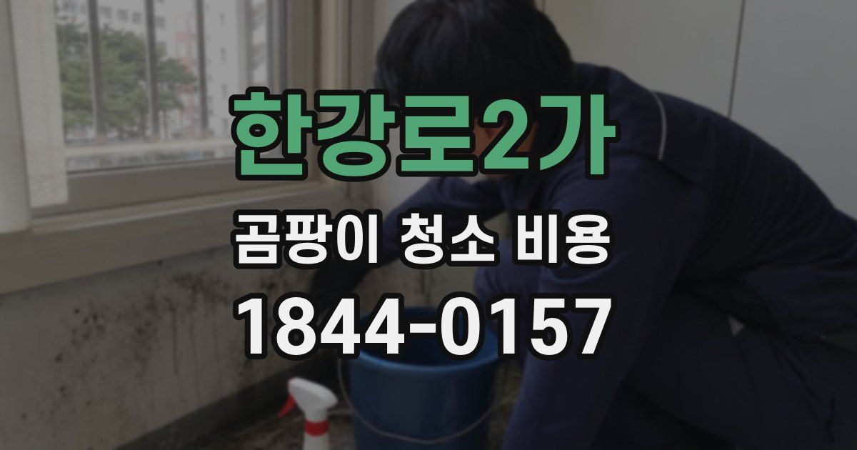 한강로2가 곰팡이 청소 비용