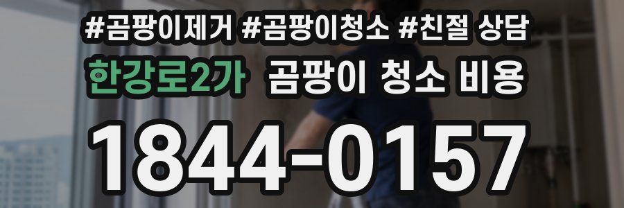 한강로2가 곰팡이 청소 비용