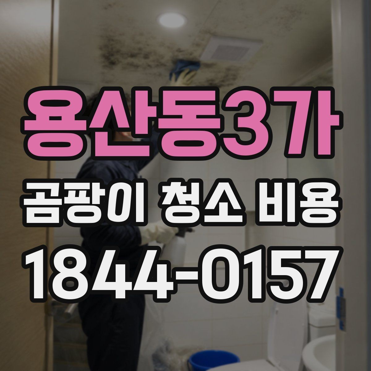 용산동3가 곰팡이 청소 비용 상담 전에 정리하면 좋은 질문