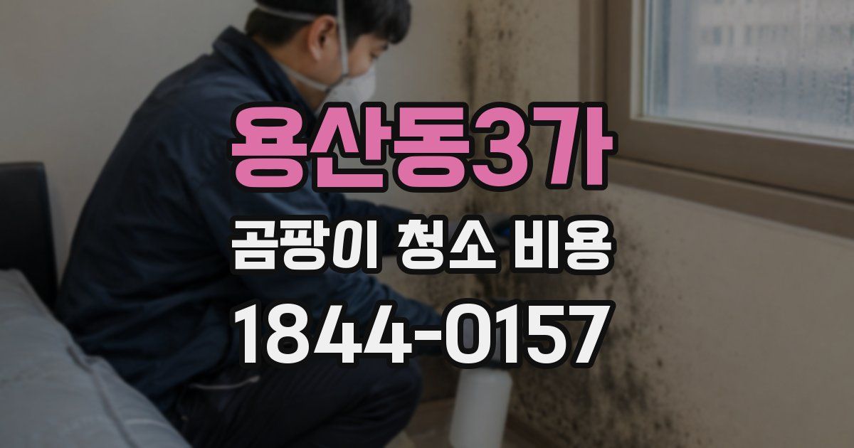 용산동3가 곰팡이 청소 비용