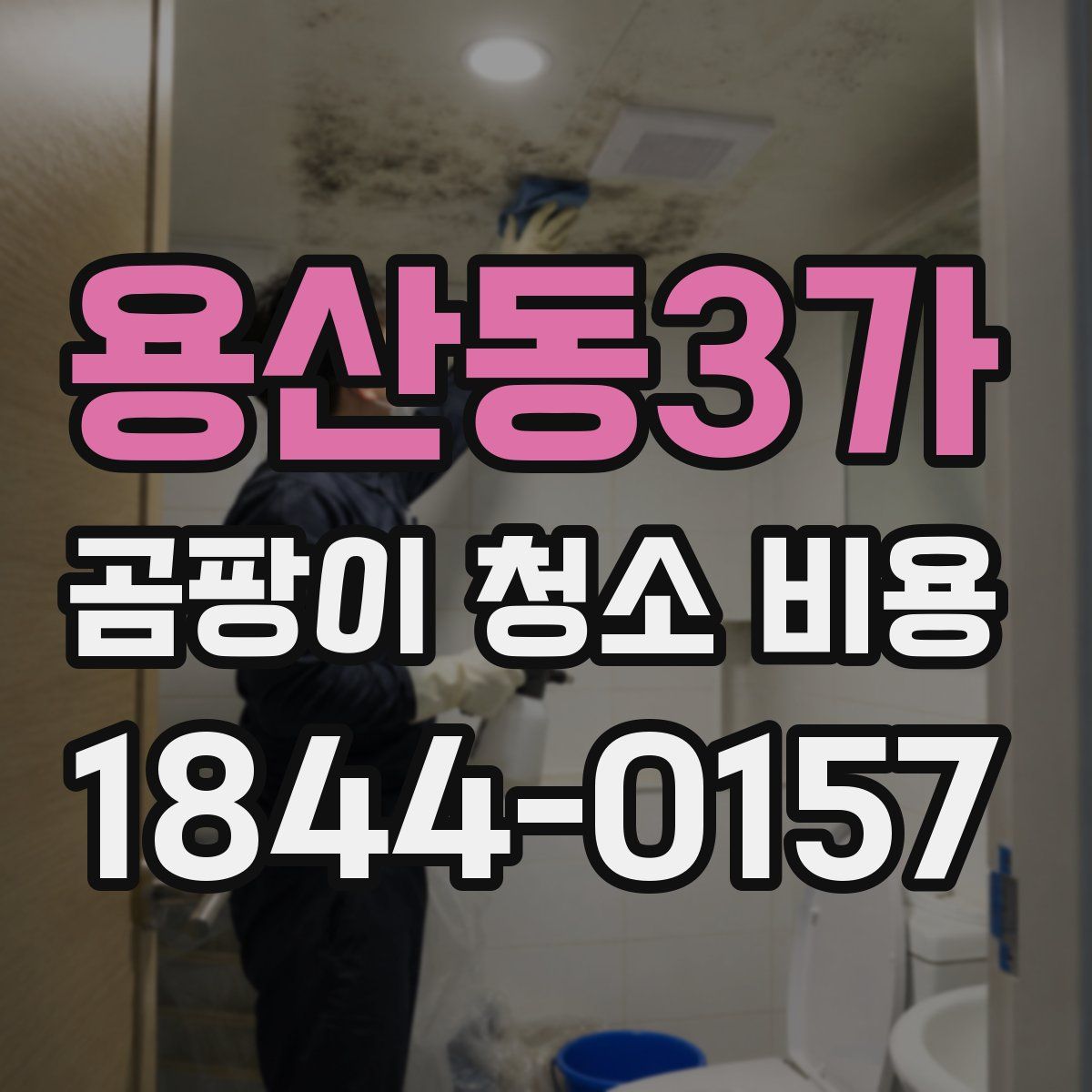 용산동3가 곰팡이 청소 비용