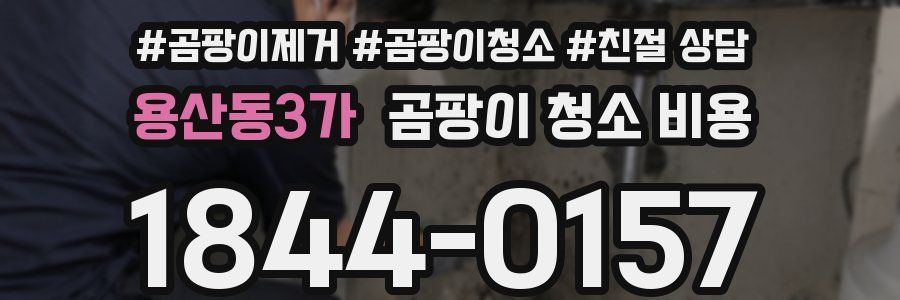 용산동3가 곰팡이 청소 비용