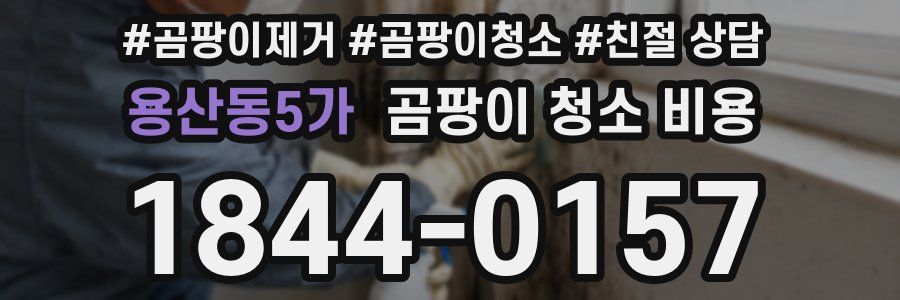 용산동5가 곰팡이 청소 비용