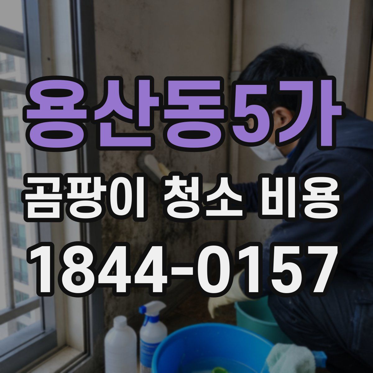 용산동5가 곰팡이 청소 비용
