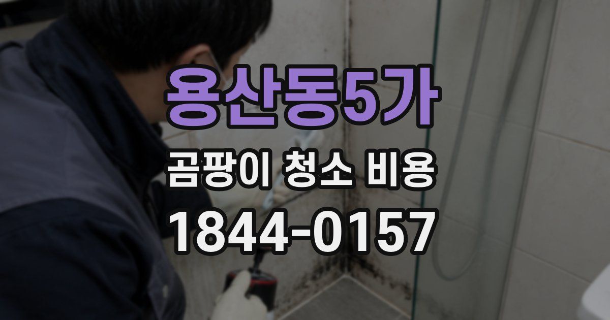 용산동5가 곰팡이 청소 비용