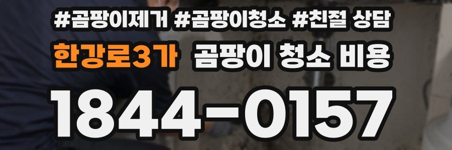 한강로3가 곰팡이 청소 비용