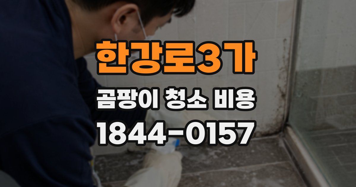 한강로3가 곰팡이 청소 비용