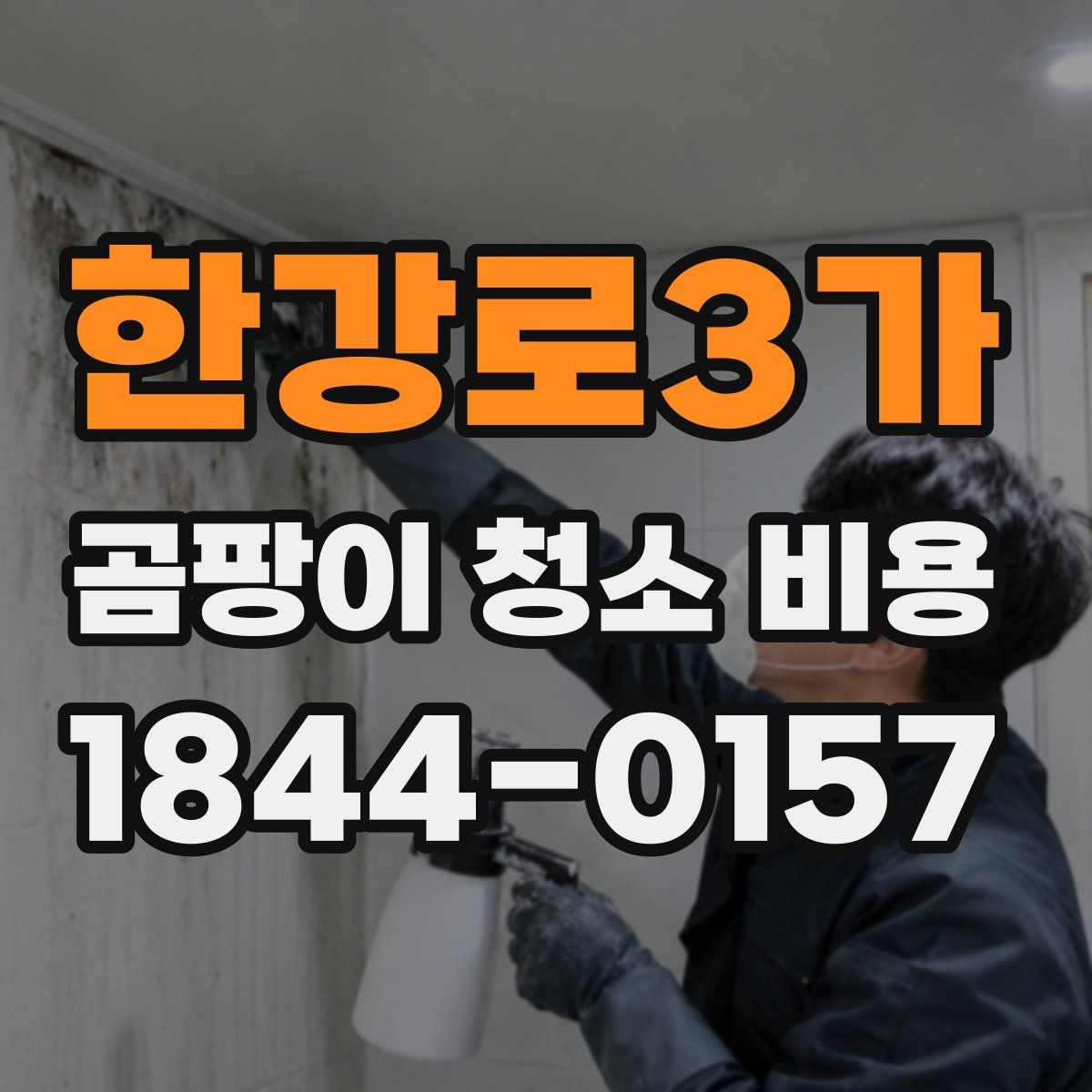 한강로3가 곰팡이 청소 비용