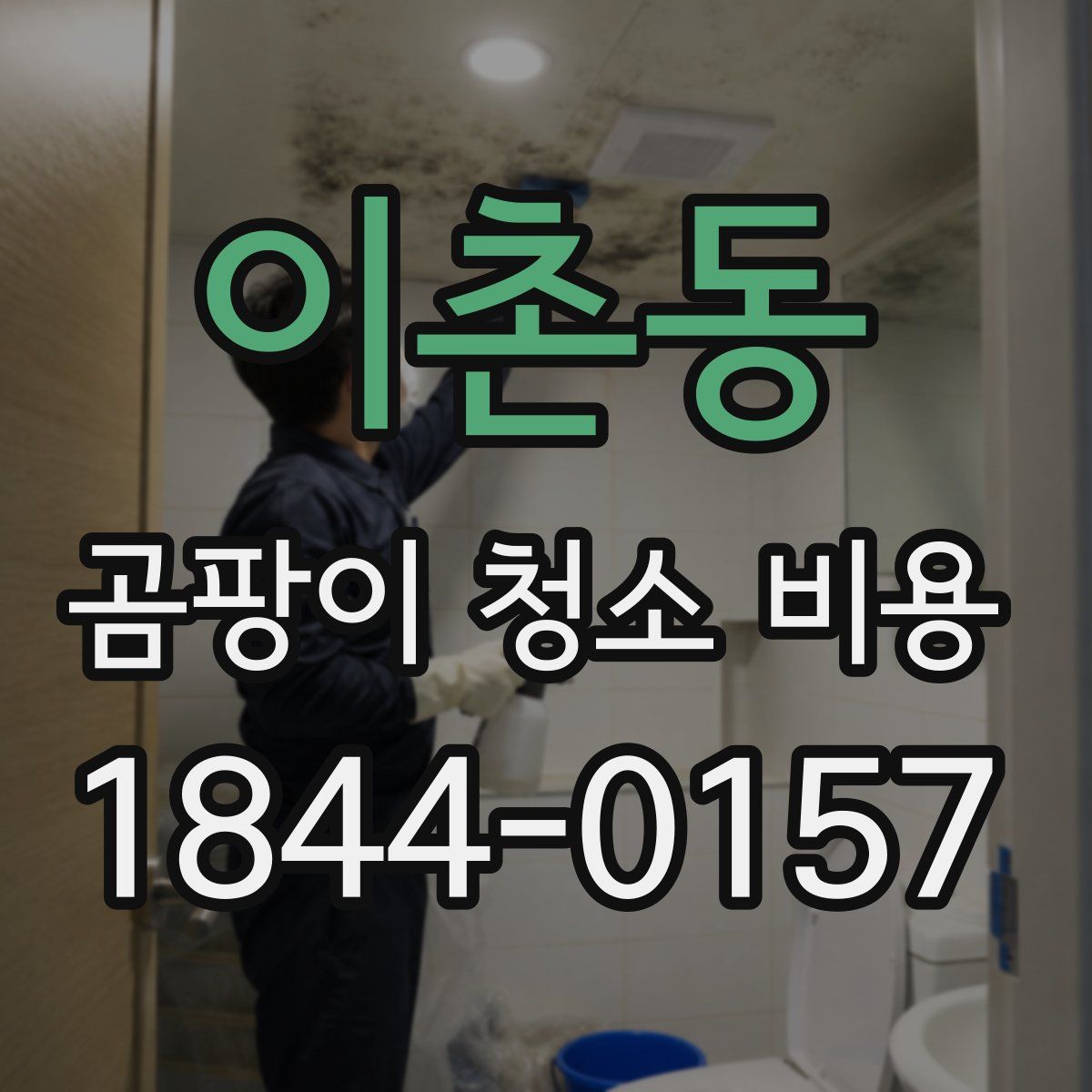 이촌동 곰팡이 청소 비용
