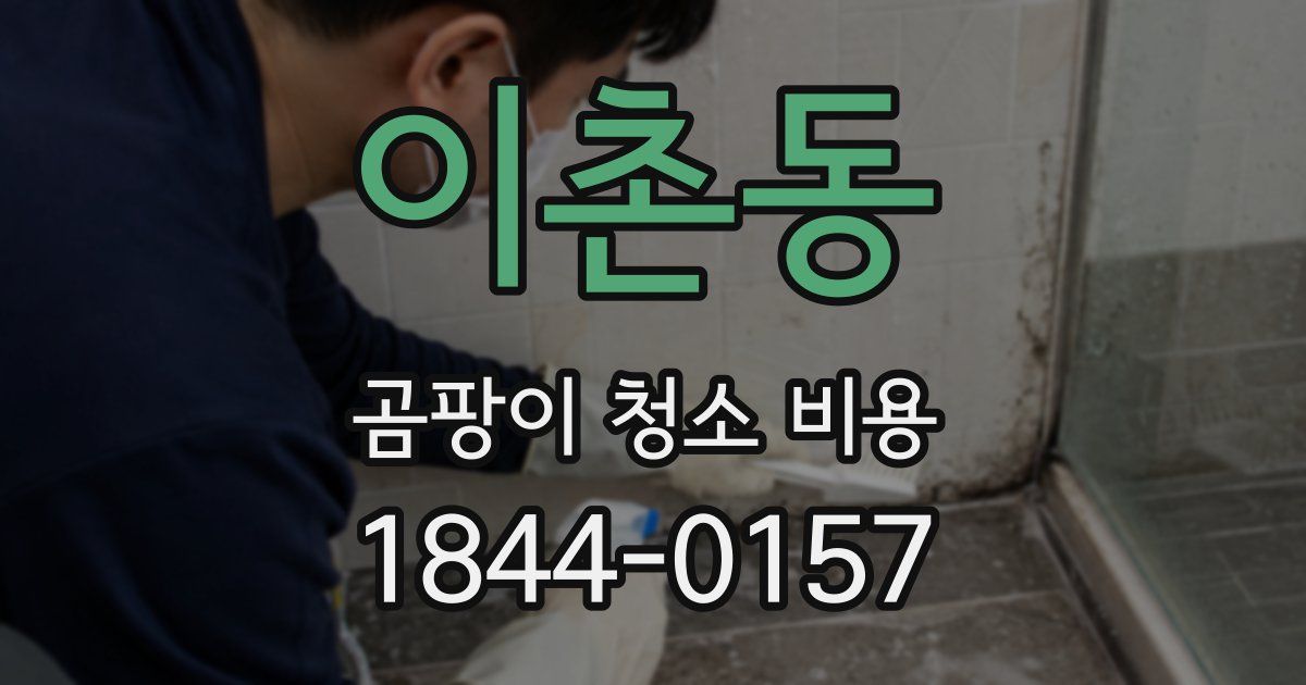이촌동 곰팡이 청소 비용