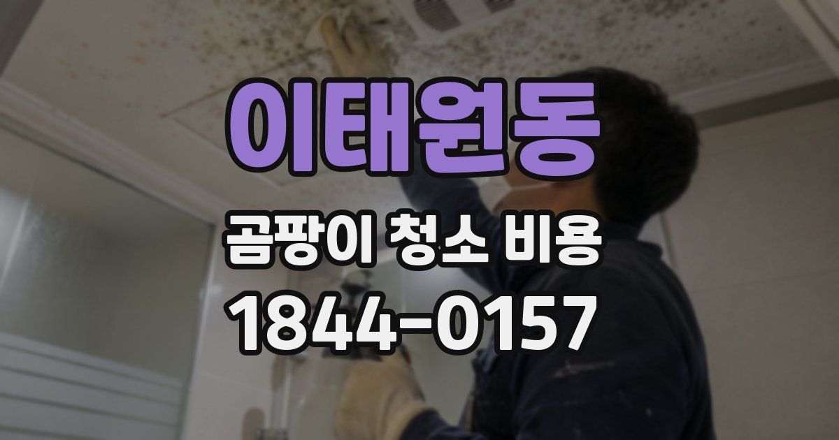 이태원동 곰팡이 청소 비용