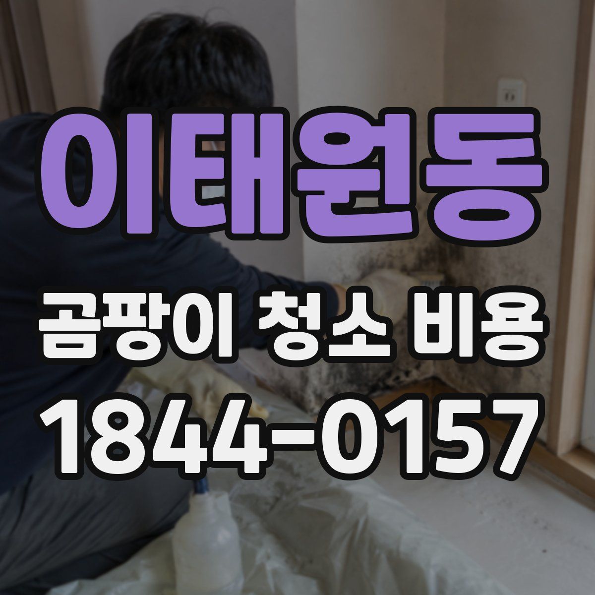 이태원동 곰팡이 청소 비용