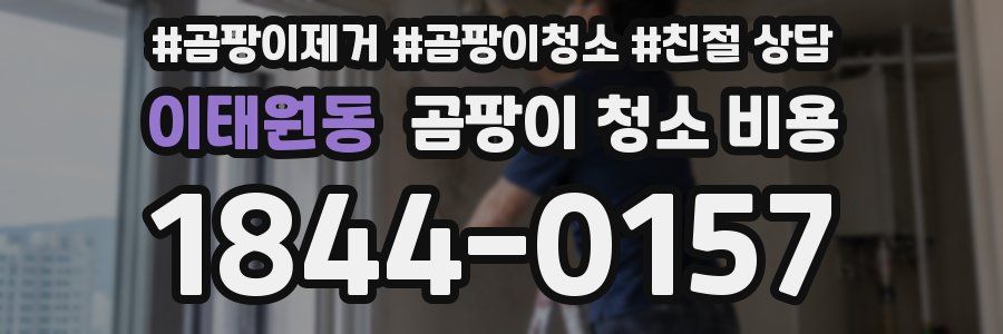 이태원동 곰팡이 청소 비용