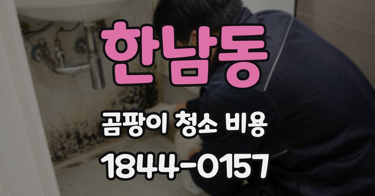 한남동 곰팡이 청소 비용