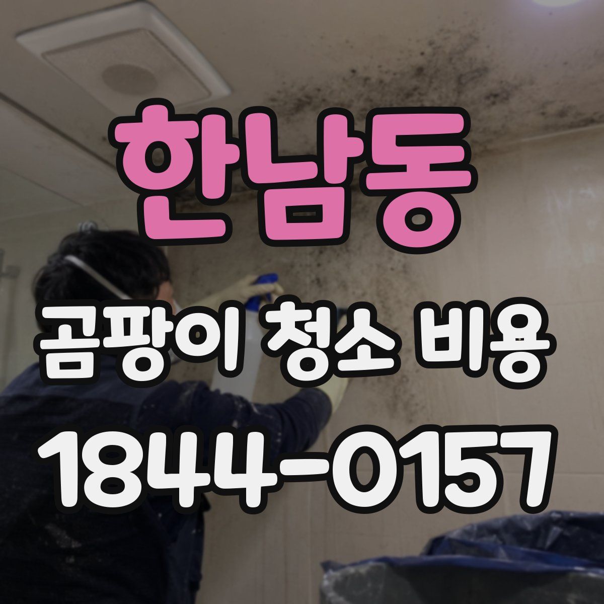 한남동 곰팡이 청소 비용