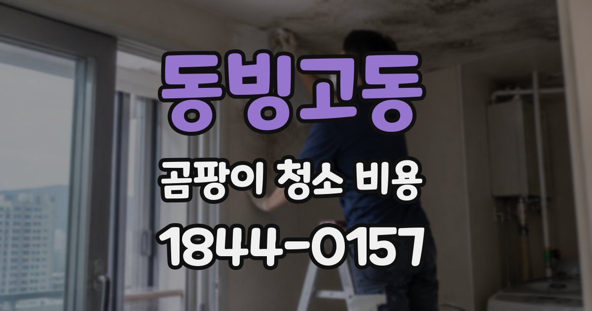 동빙고동 곰팡이 청소 비용