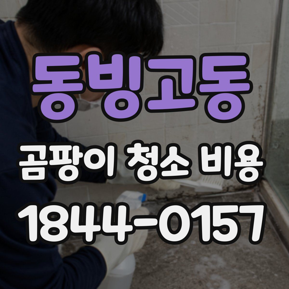 동빙고동 곰팡이 청소 비용
