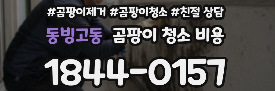 동빙고동 곰팡이 청소 비용