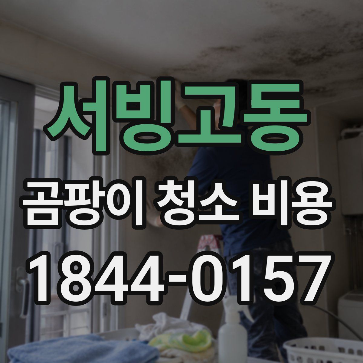서빙고동 곰팡이 청소 비용