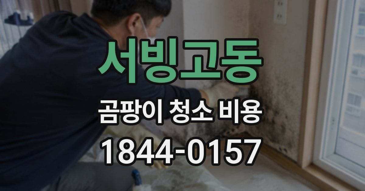 서빙고동 곰팡이 청소 비용