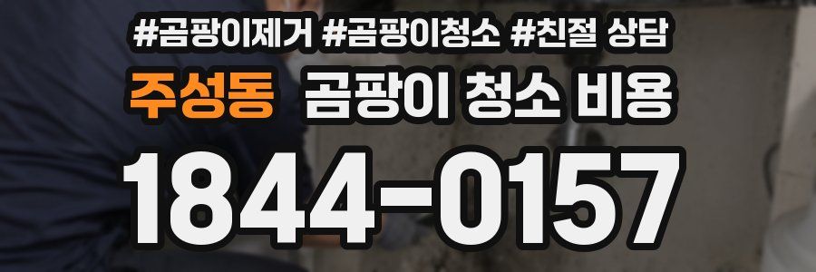 주성동 곰팡이 청소 비용
