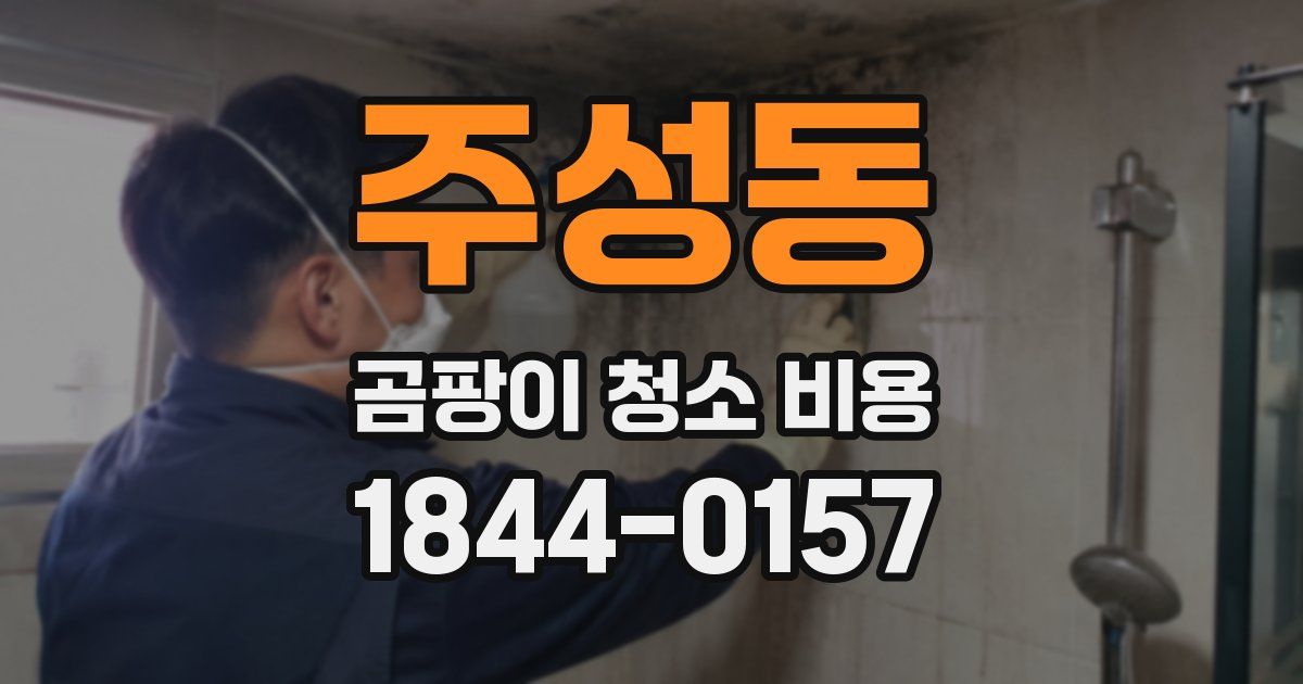 주성동 곰팡이 청소 비용