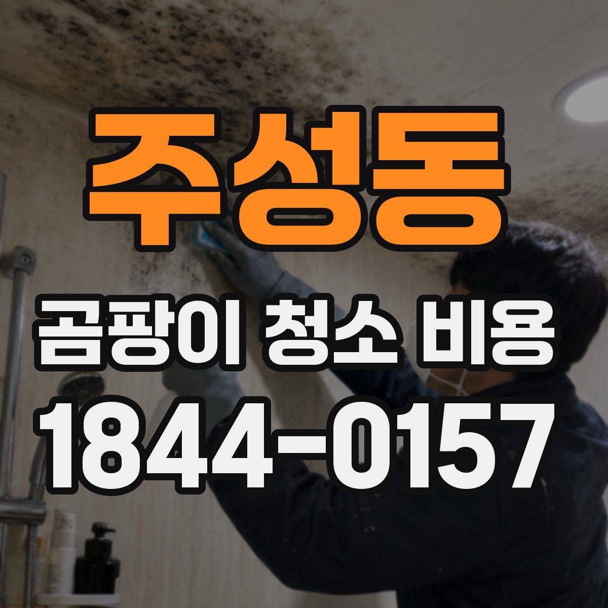 주성동 곰팡이 청소 비용