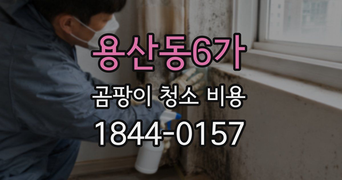 용산동6가 곰팡이 청소 비용