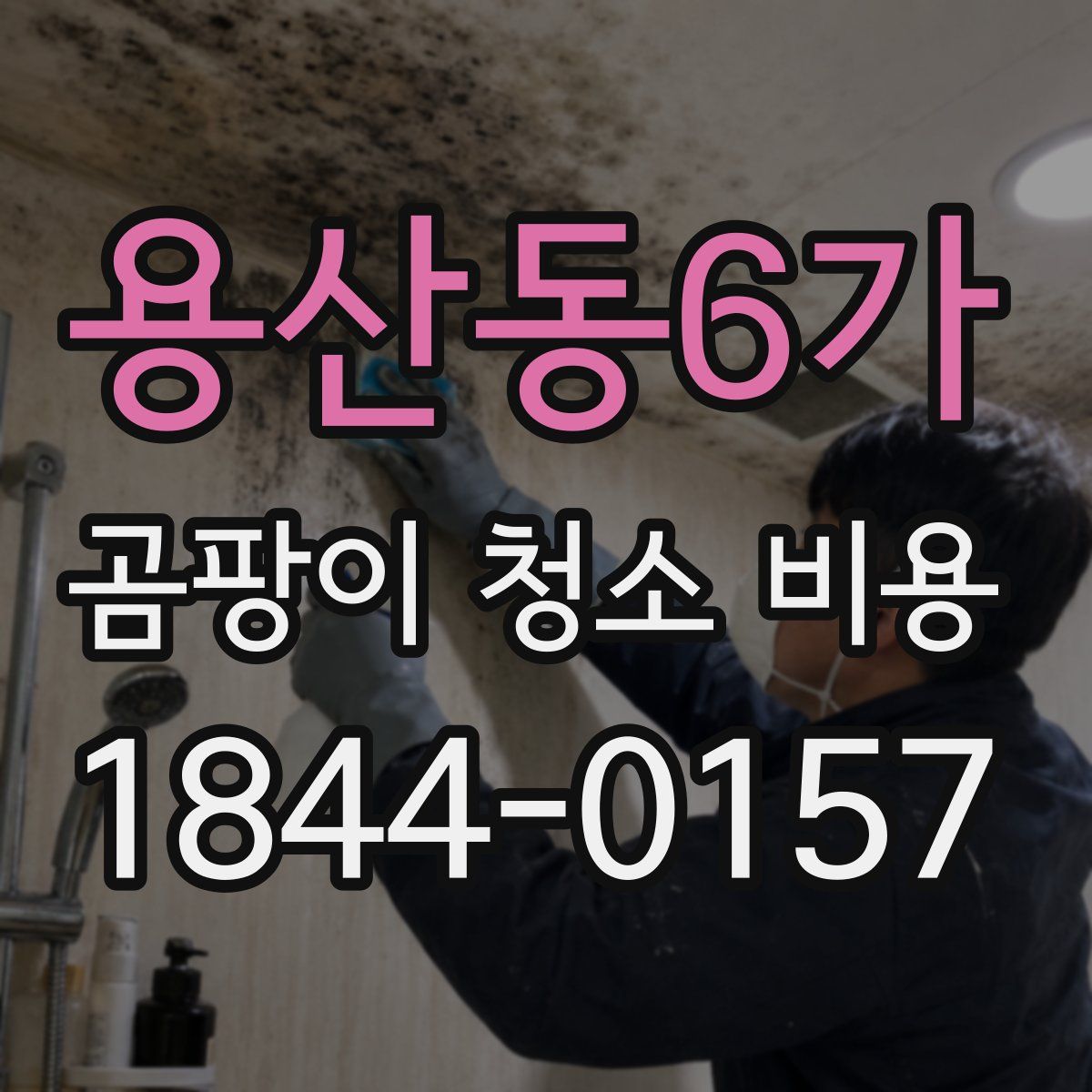 용산동6가 곰팡이 청소 비용