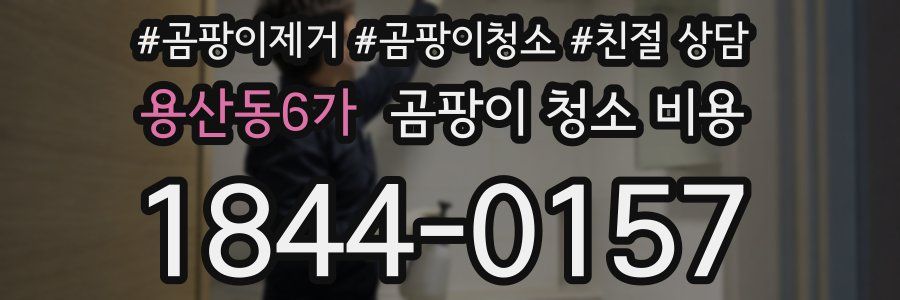 용산동6가 곰팡이 청소 비용