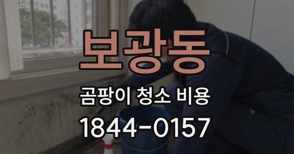 보광동 곰팡이 청소 비용