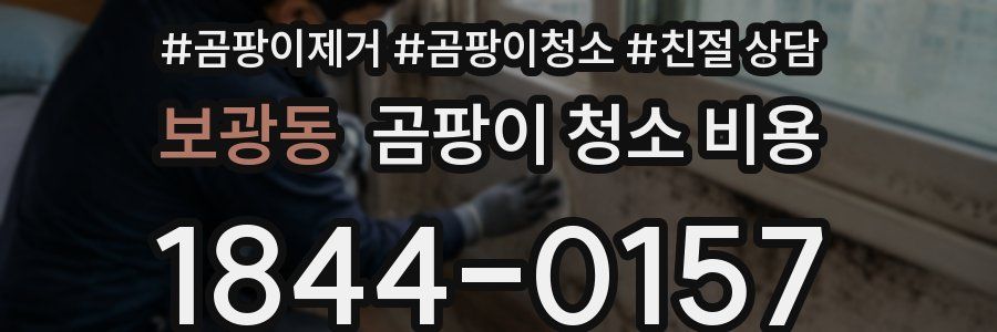 보광동 곰팡이 청소 비용