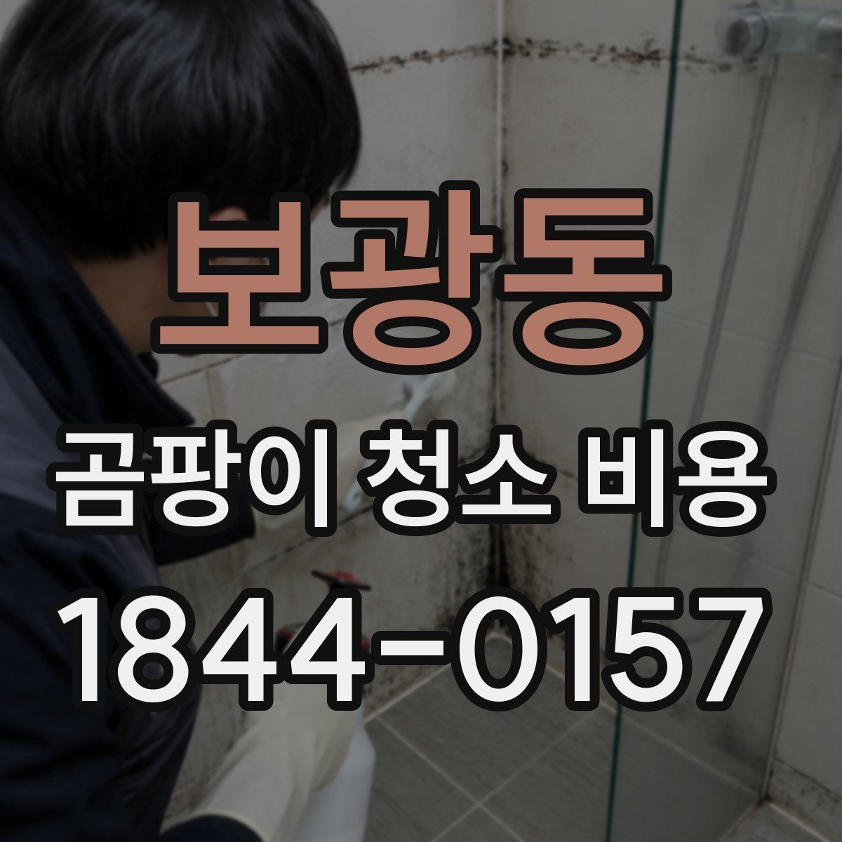 보광동 곰팡이 청소 비용