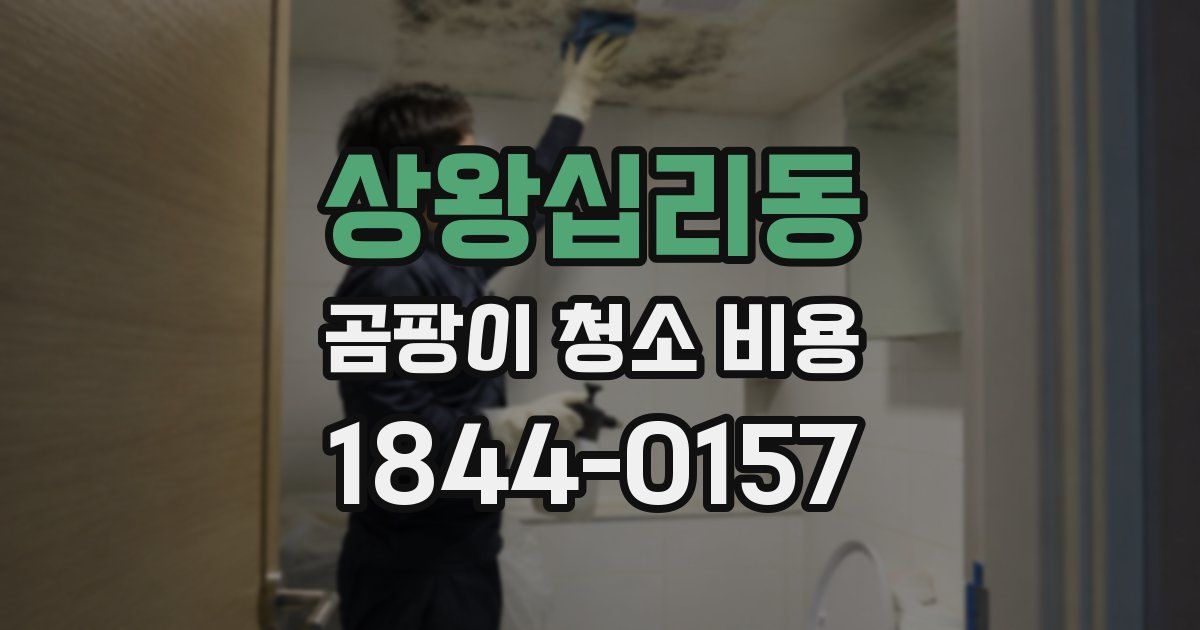 상왕십리동 곰팡이 청소 비용