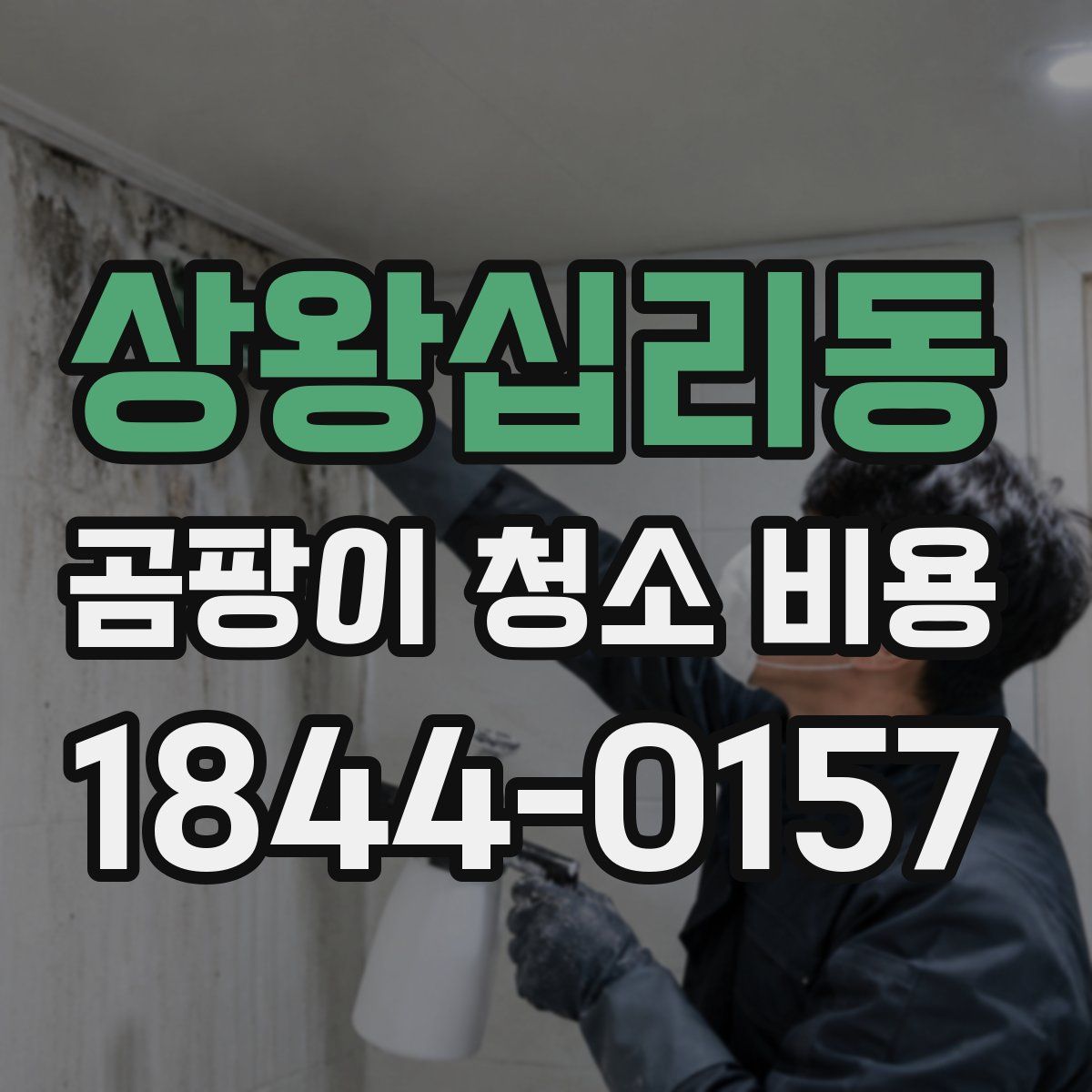 상왕십리동 곰팡이 청소 비용